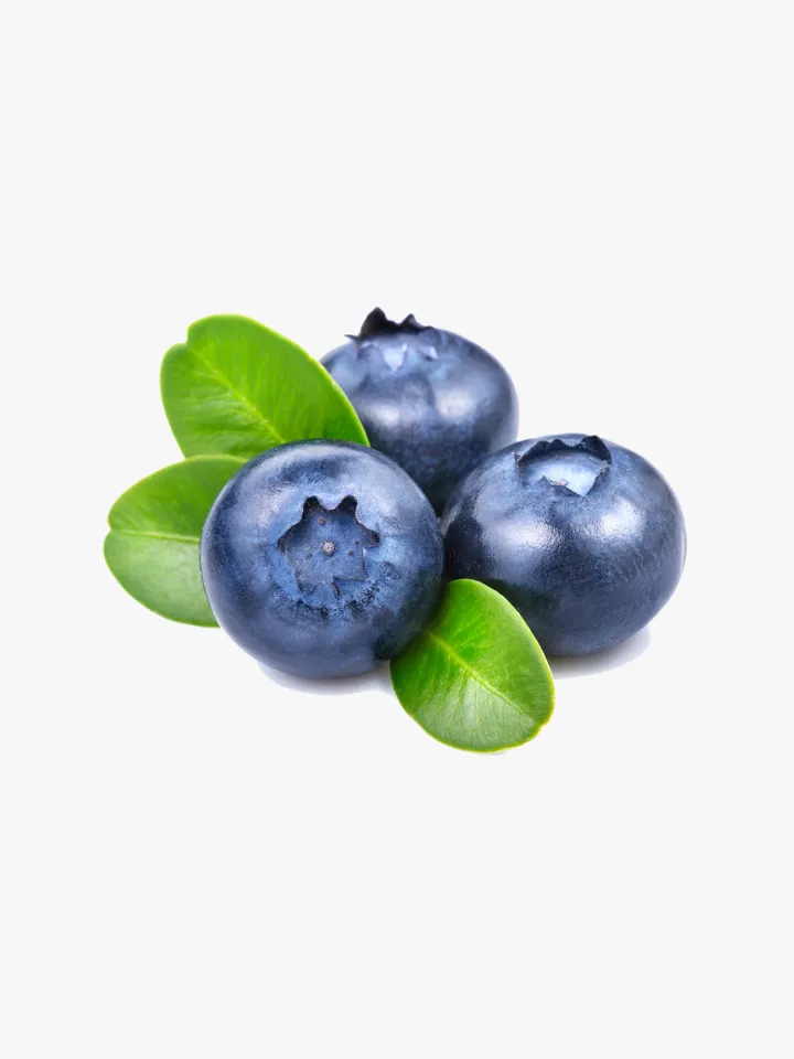 بلوبری ارگانیک تازه