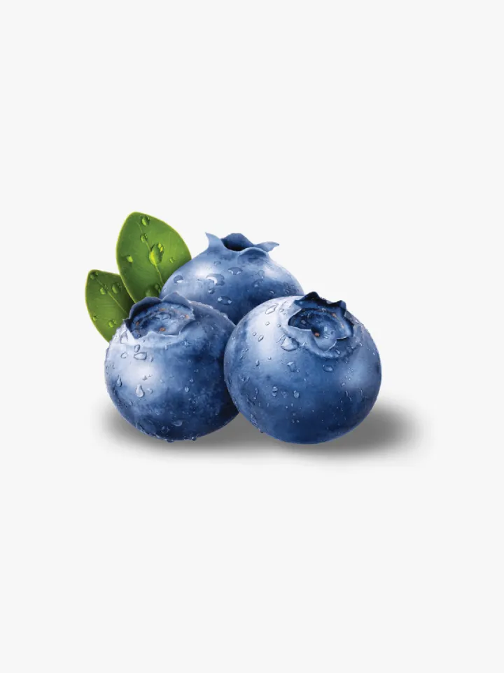 organic-6-2