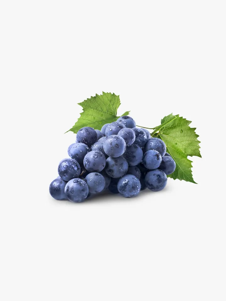 organic-6-3